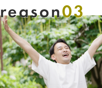 reason03